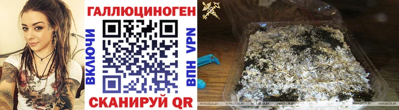 Галлюциногенные грибы GOLDEN TEACHER  сколько стоит  Оленегорск 